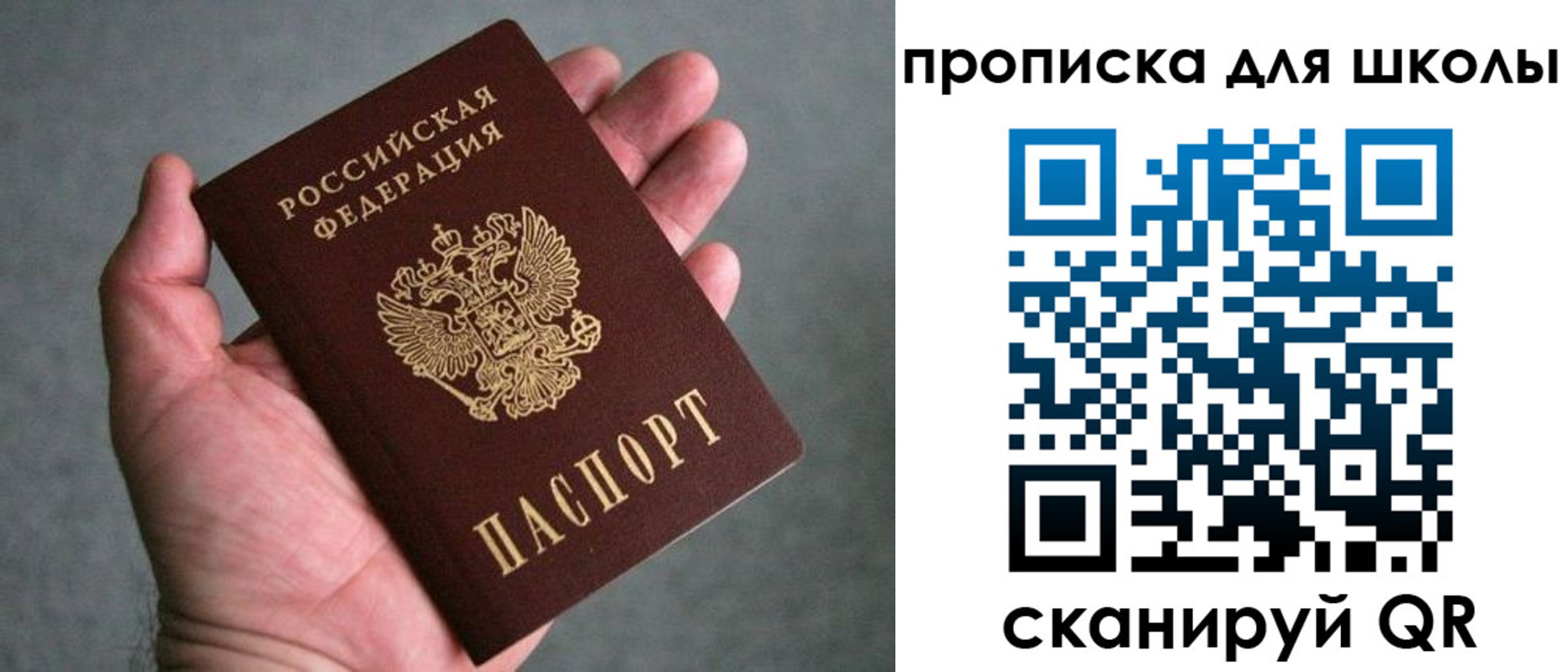 прописка штамп в Пионерском